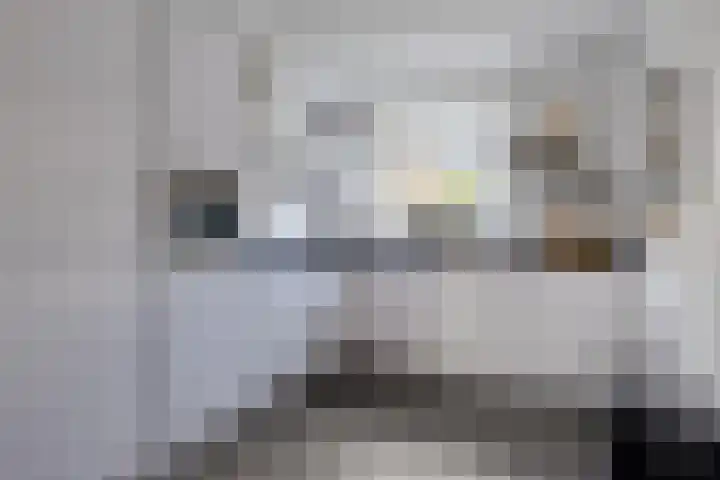 Noorwegenstraat 6 De Lier thumbnail 6