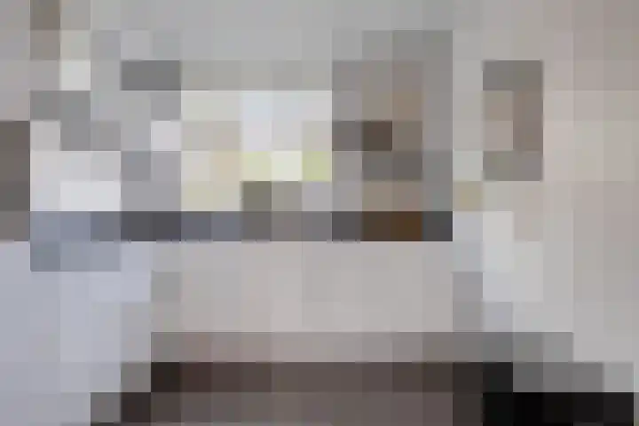 Noorwegenstraat 6 De Lier thumbnail 7