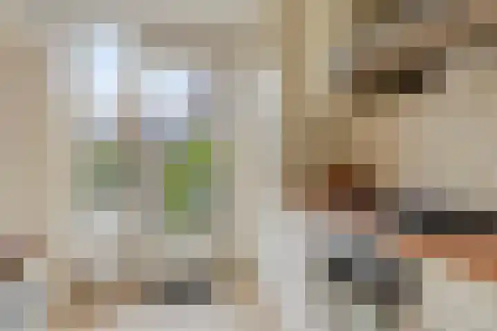Noorwitsstraat 11 Rotterdam thumbnail 17