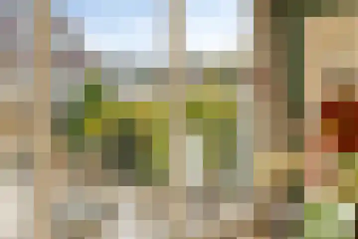 Noorwitsstraat 11 Rotterdam thumbnail 22