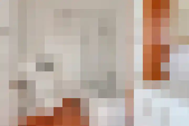 Noorwitsstraat 11 Rotterdam thumbnail 25