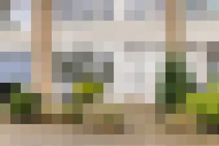Noorwitsstraat 11 Rotterdam thumbnail 7