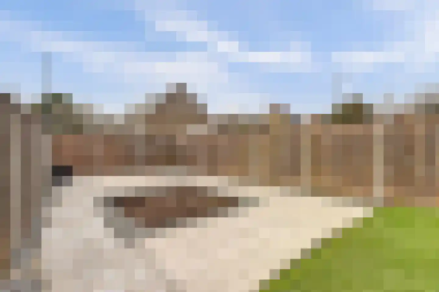 Noorwitsstraat 156 Rotterdam thumbnail 12