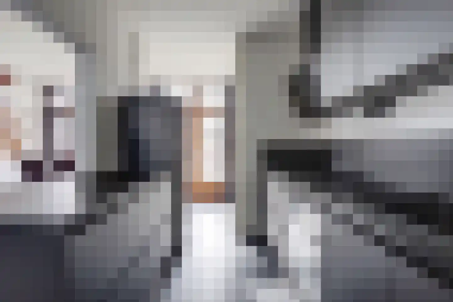 Noorwitsstraat 156 Rotterdam thumbnail 7
