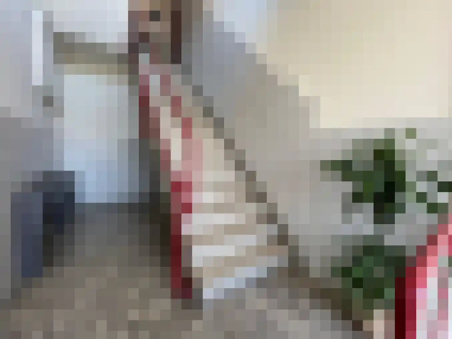 Noorwitsstraat 74 Rotterdam thumbnail 14