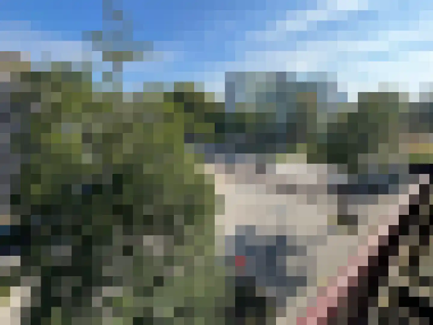 Noorwitsstraat 74 Rotterdam thumbnail 8