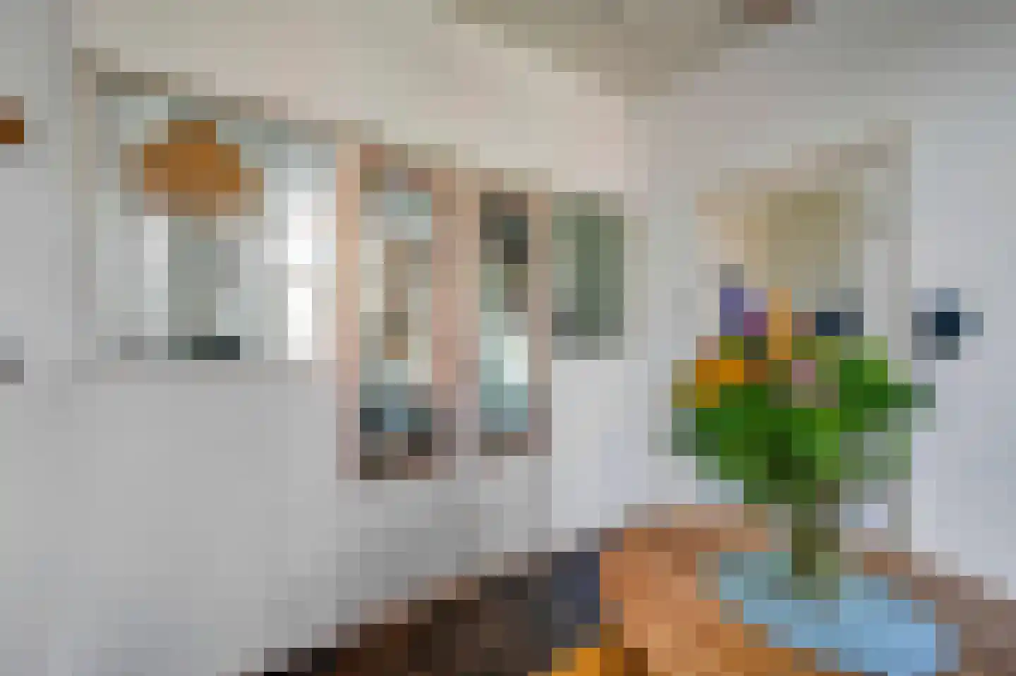 Noorwitzstraat 12 Den Haag thumbnail 13
