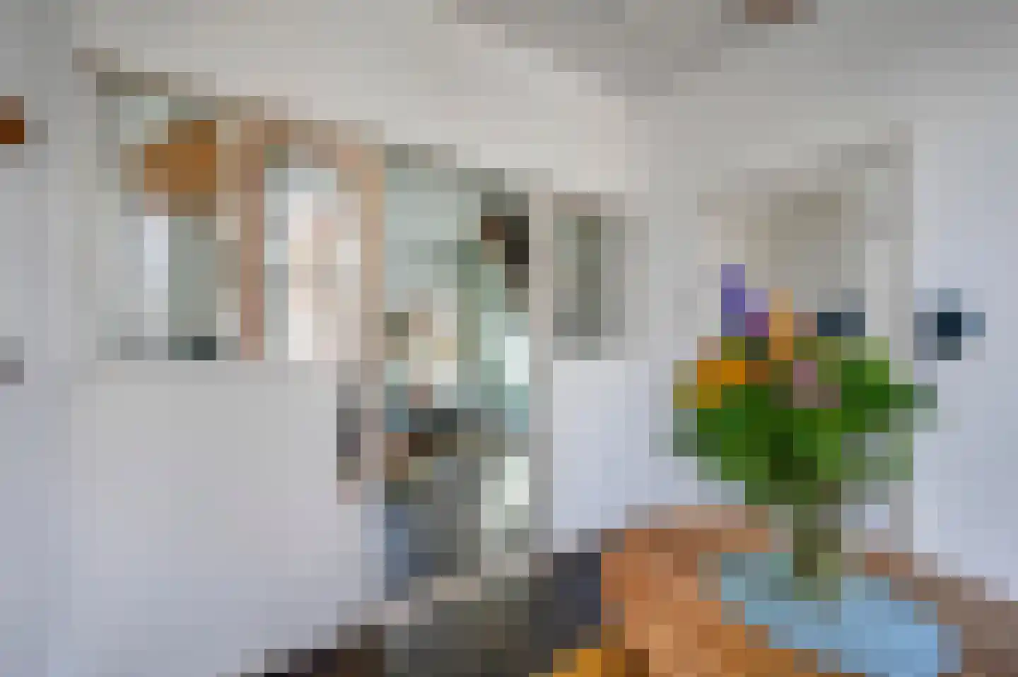 Noorwitzstraat 12 Den Haag thumbnail 14