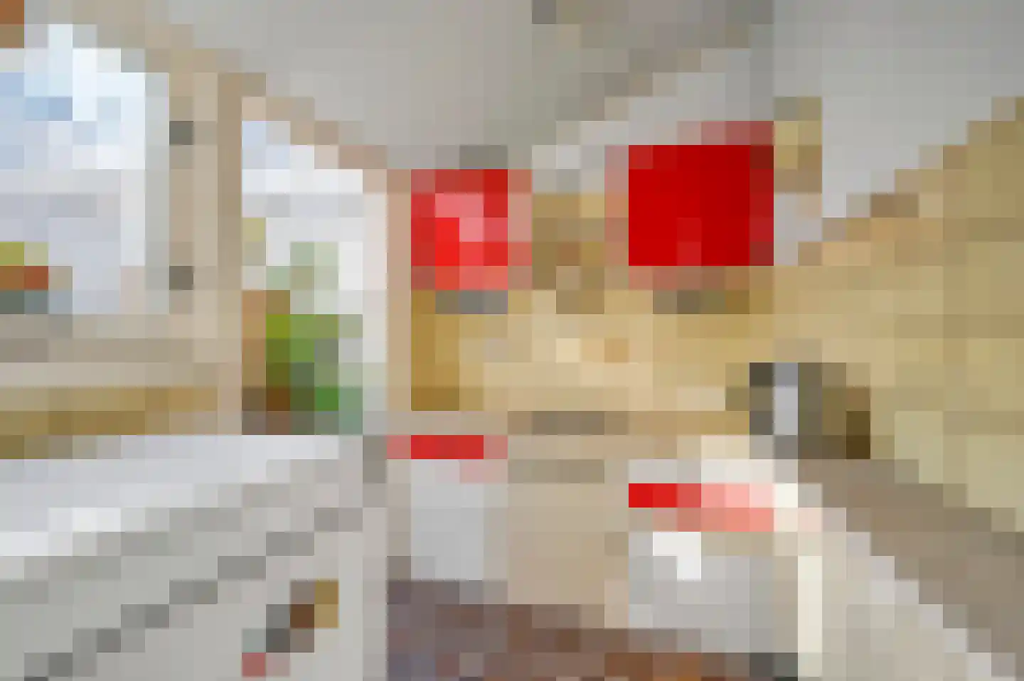 Noorwitzstraat 12 Den Haag thumbnail 16