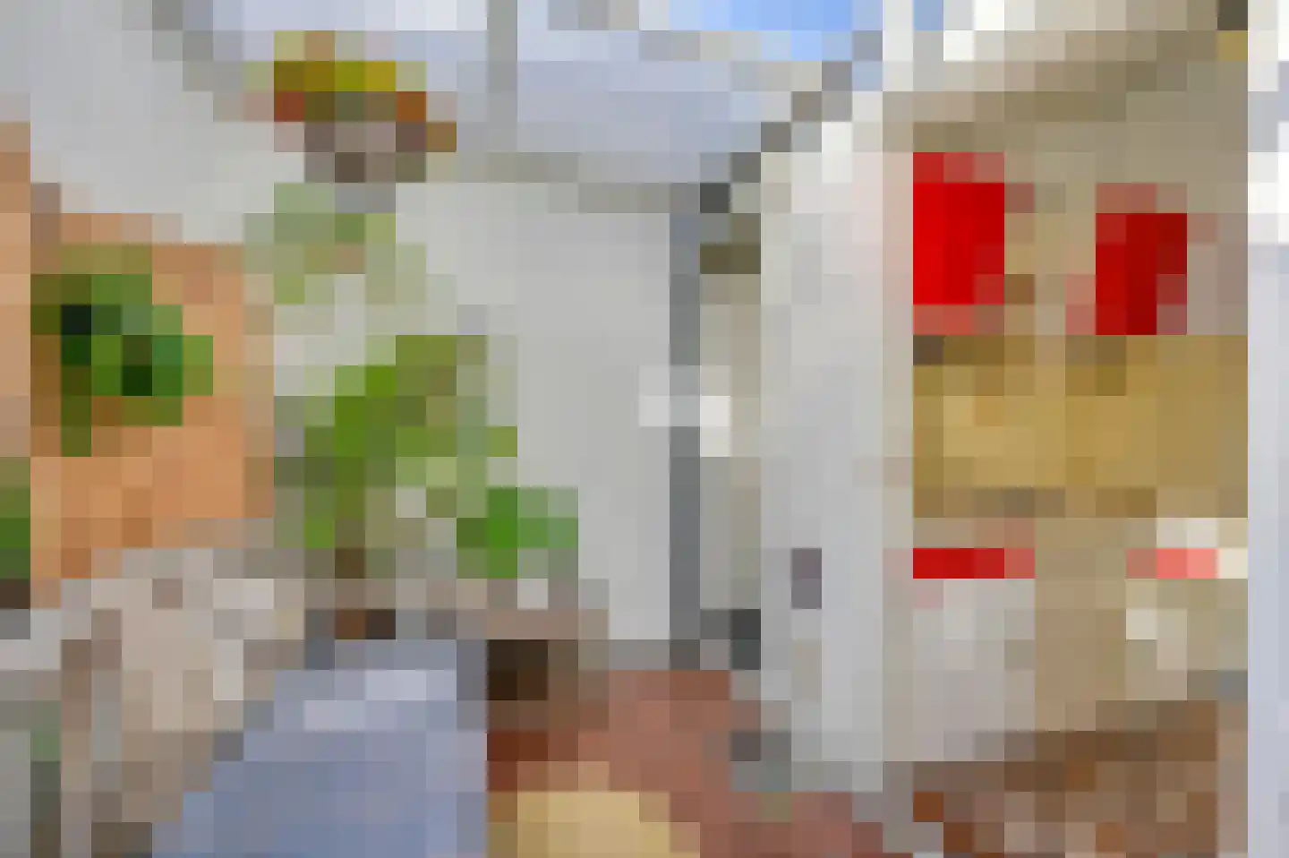 Noorwitzstraat 12 Den Haag thumbnail 20