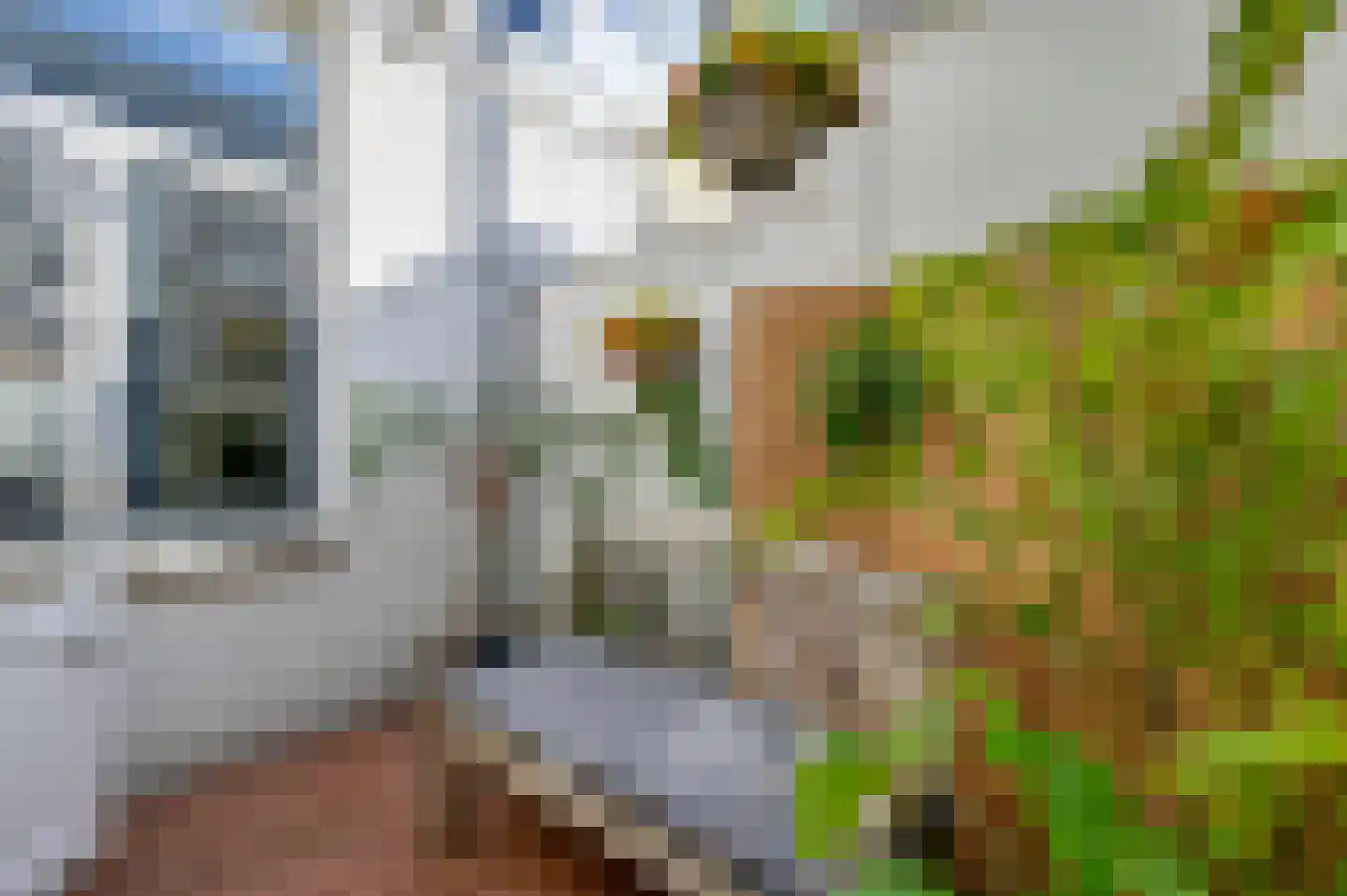 Noorwitzstraat 12 Den Haag thumbnail 21