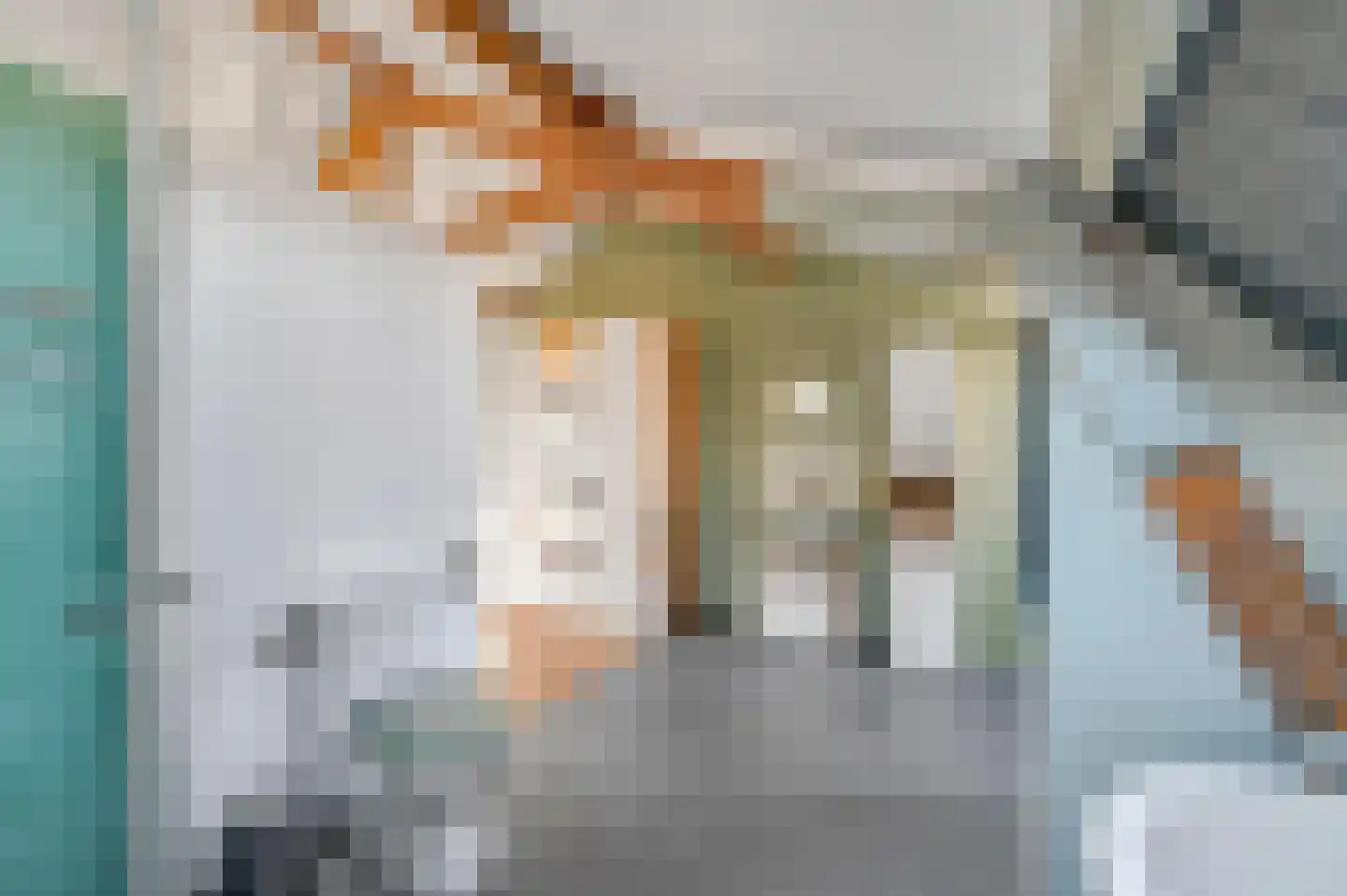 Noorwitzstraat 12 Den Haag thumbnail 32