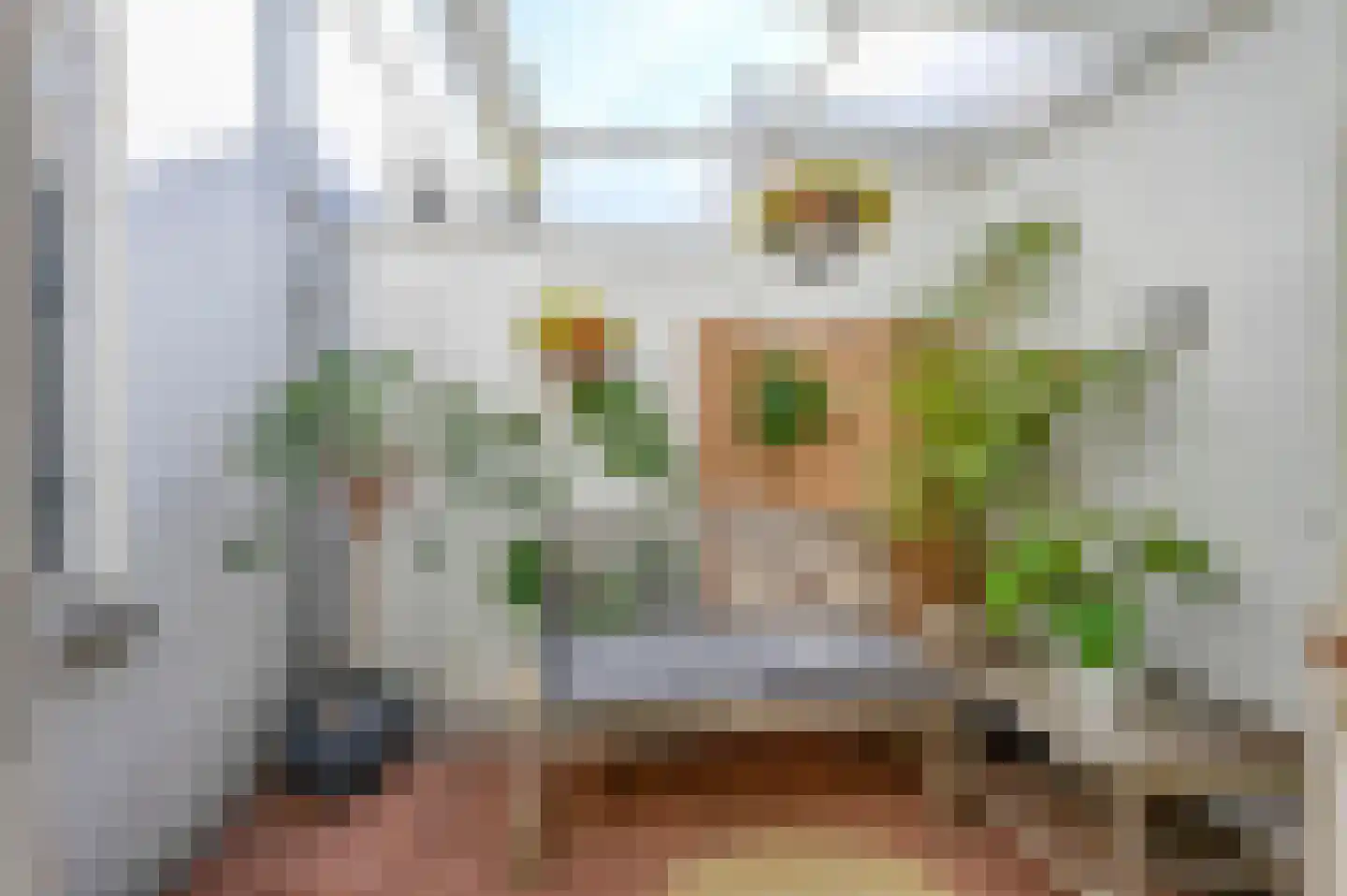 Noorwitzstraat 12 Den Haag thumbnail 33