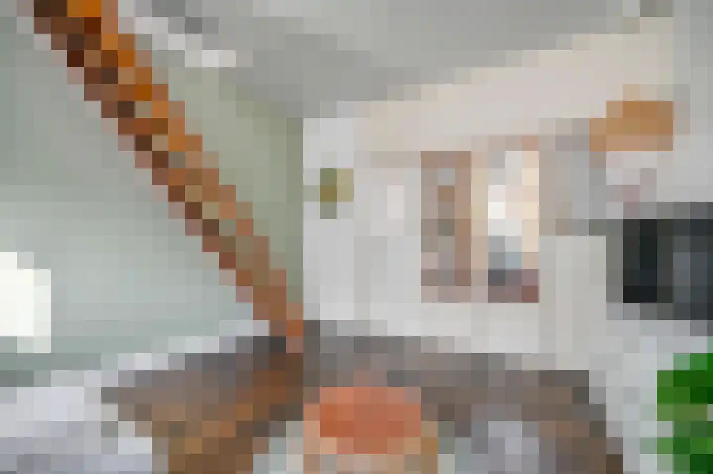 Noorwitzstraat 12 Den Haag thumbnail 9