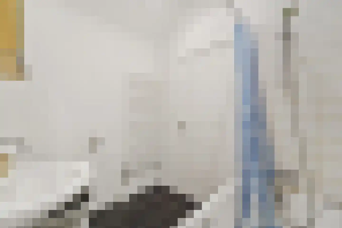 Noorwitzstraat 40 Den Haag thumbnail 23