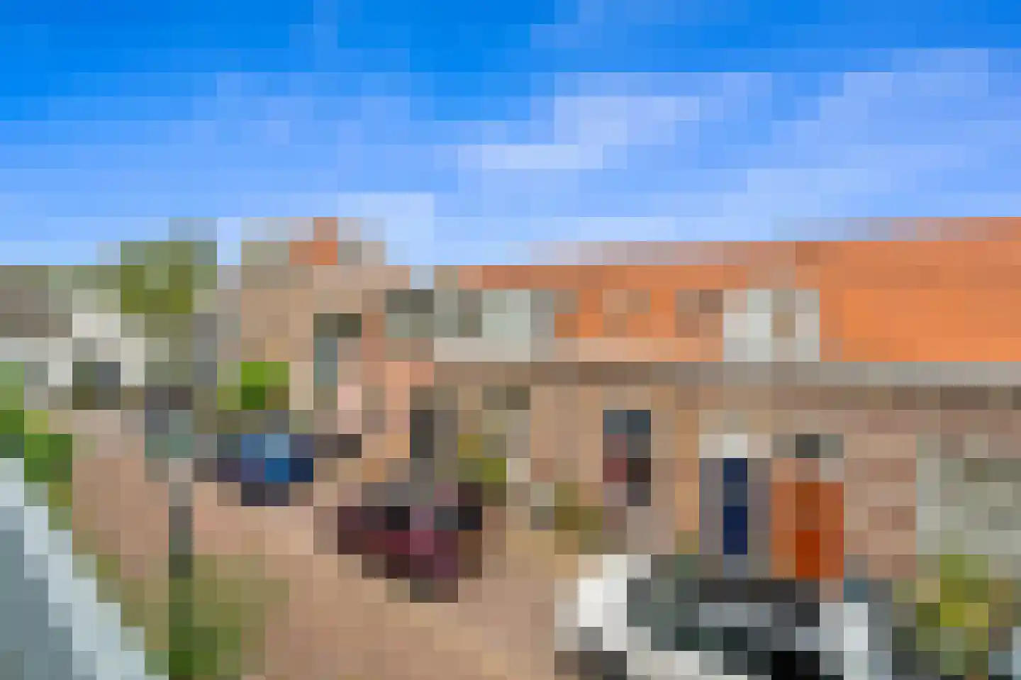 Noorwitzstraat 40 Den Haag thumbnail 27