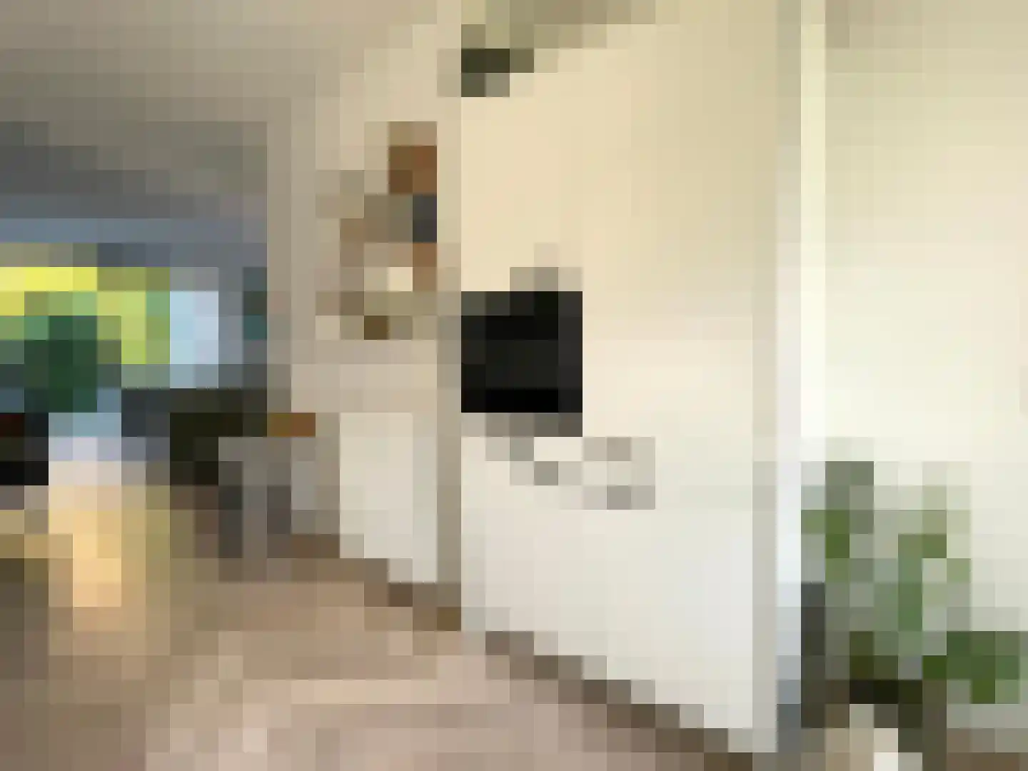 Nootdorpse Landingslaan 138 Den Haag thumbnail 13