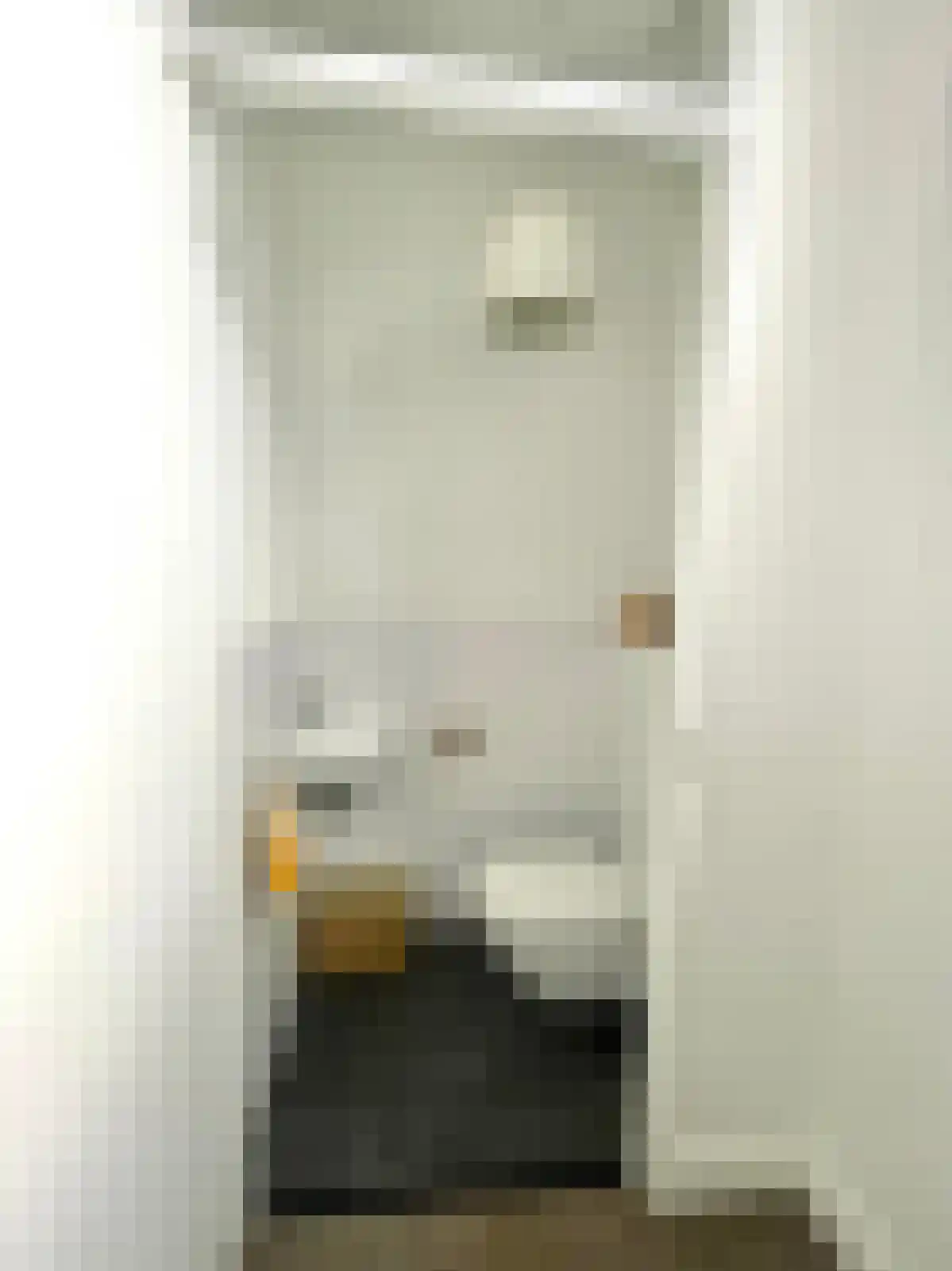 Nootdorpse Landingslaan 138 Den Haag thumbnail 15