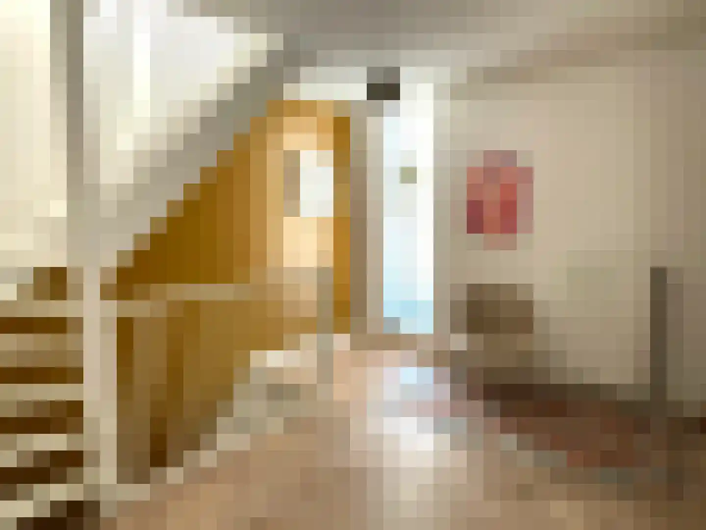 Nootdorpse Landingslaan 138 Den Haag thumbnail 16