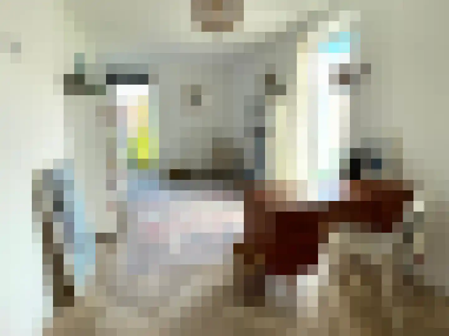 Nootdorpse Landingslaan 138 Den Haag thumbnail 20