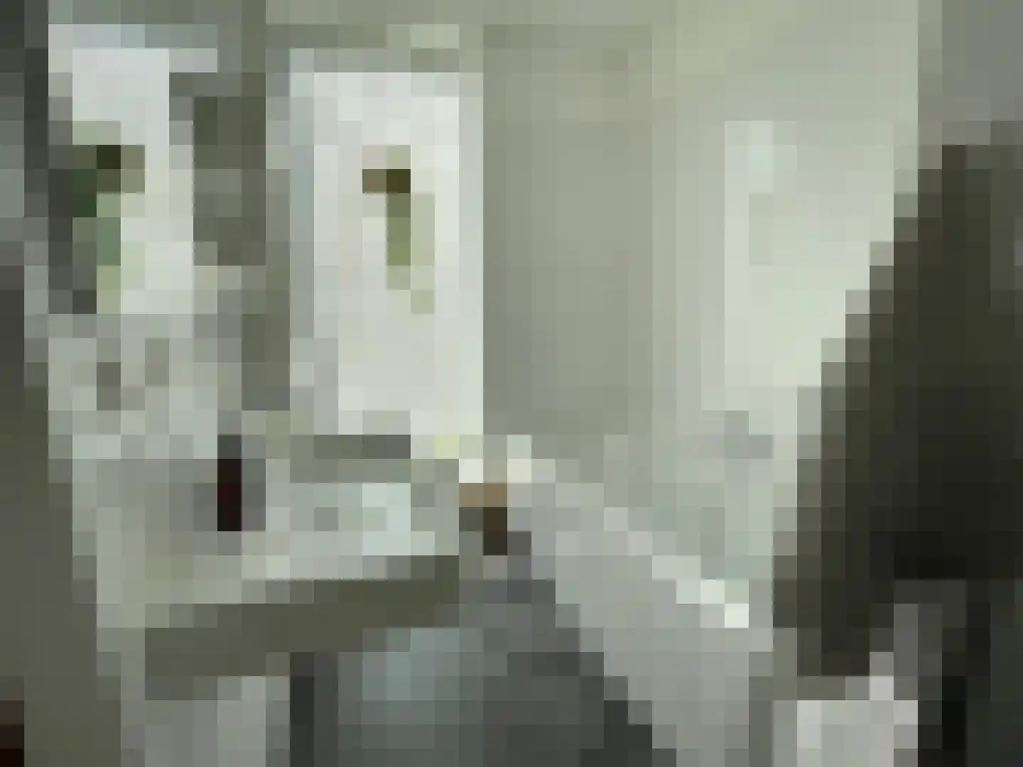 Nootdorpse Landingslaan 138 Den Haag thumbnail 23