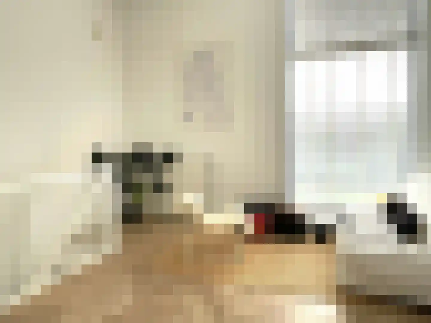 Nootdorpse Landingslaan 138 Den Haag thumbnail 26
