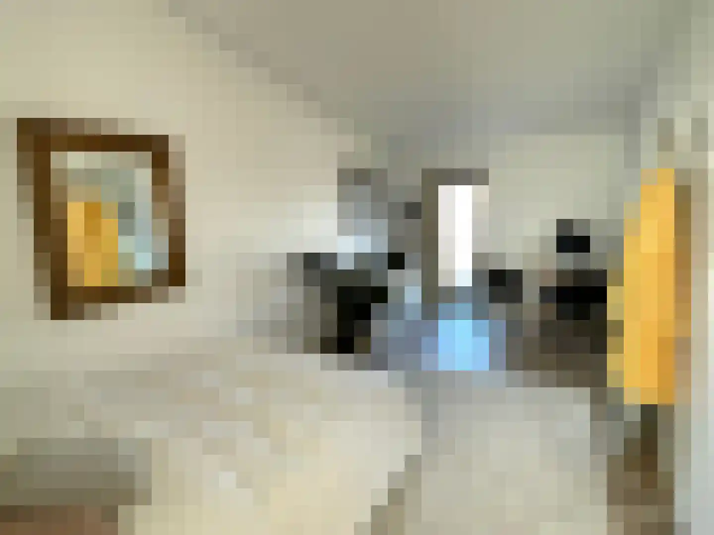Nootdorpse Landingslaan 138 Den Haag thumbnail 28