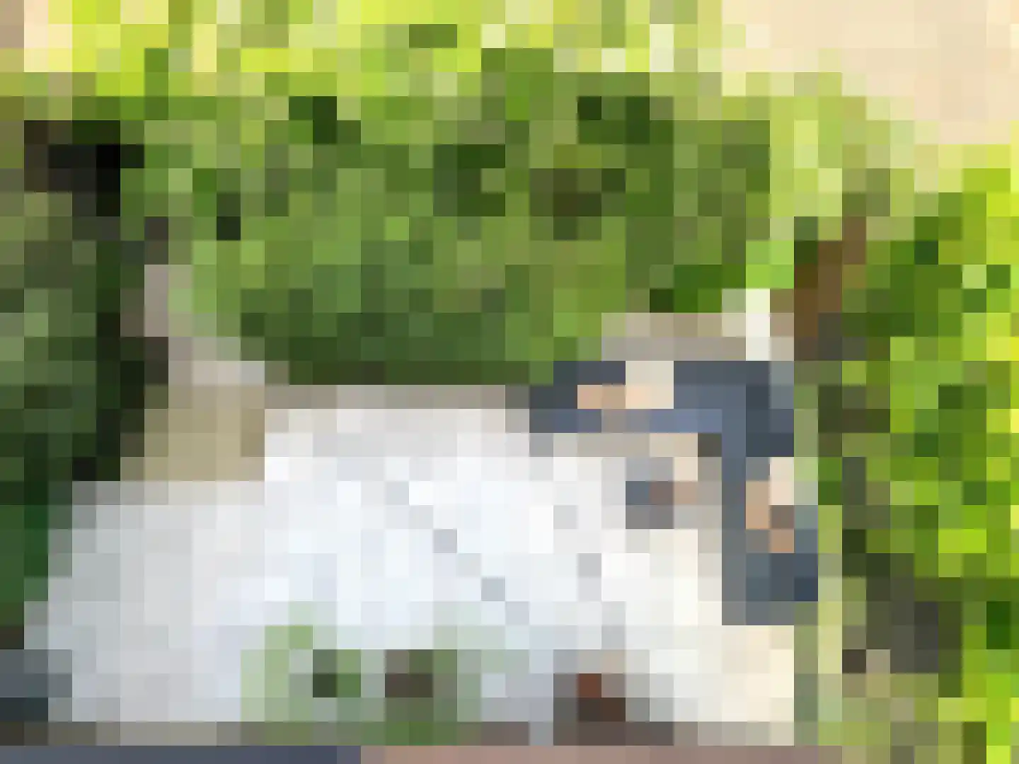 Nootdorpse Landingslaan 138 Den Haag thumbnail 32