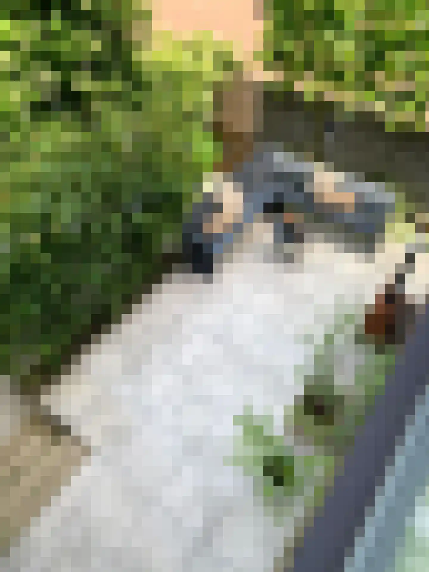 Nootdorpse Landingslaan 138 Den Haag thumbnail 33
