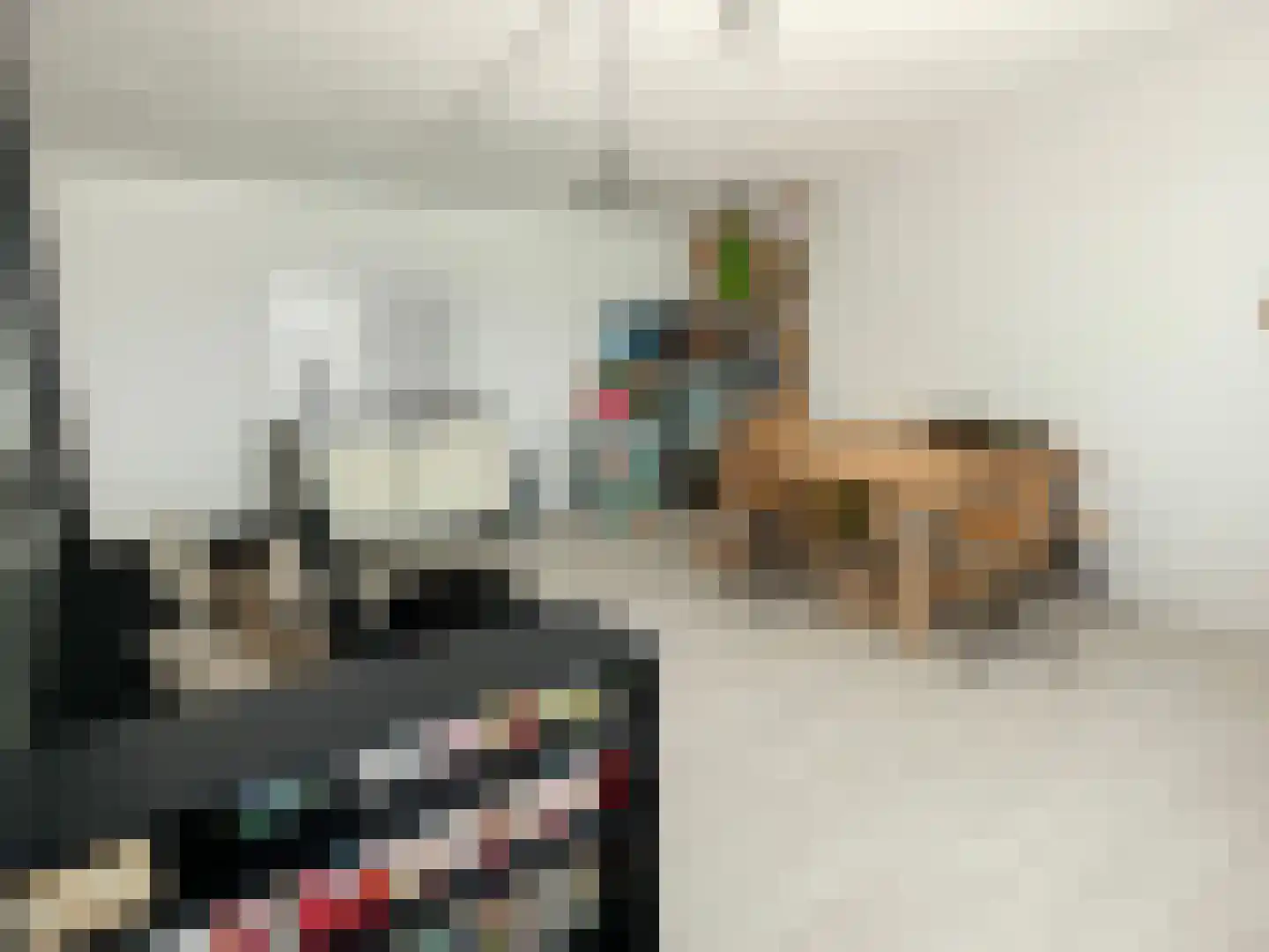 Nootdorpse Landingslaan 138 Den Haag thumbnail 38