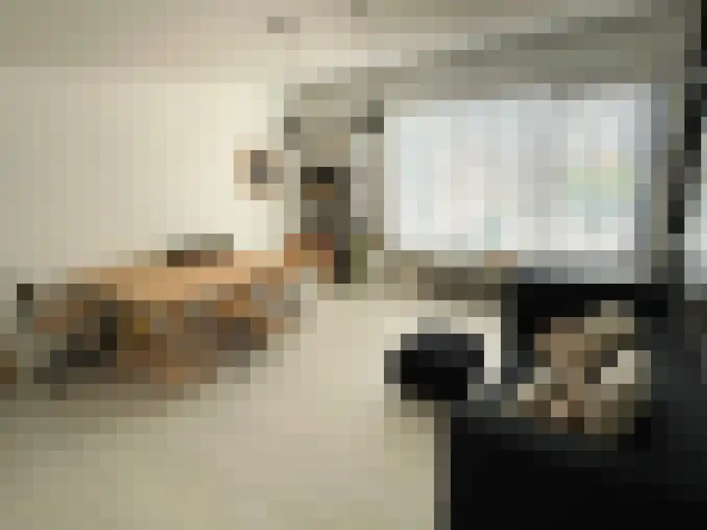 Nootdorpse Landingslaan 138 Den Haag thumbnail 39