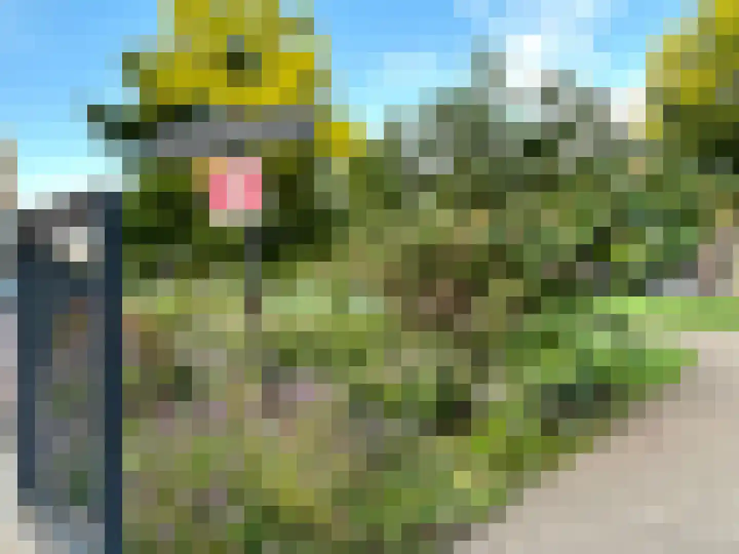 Nootdorpse Landingslaan 138 Den Haag thumbnail 44