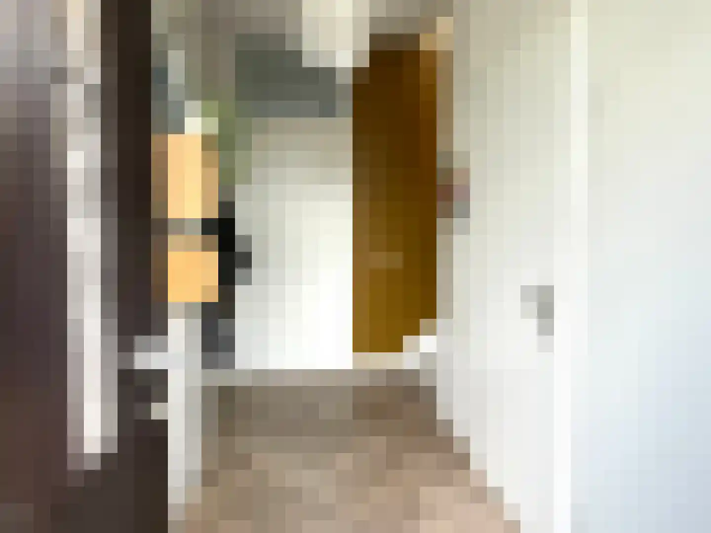 Nootdorpse Landingslaan 138 Den Haag thumbnail 7
