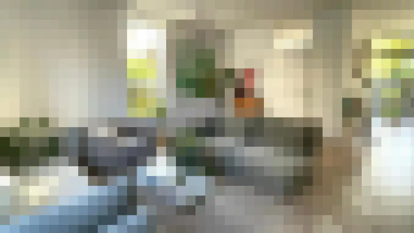 Nootdorpse Landingslaan 138 Den Haag thumbnail 8