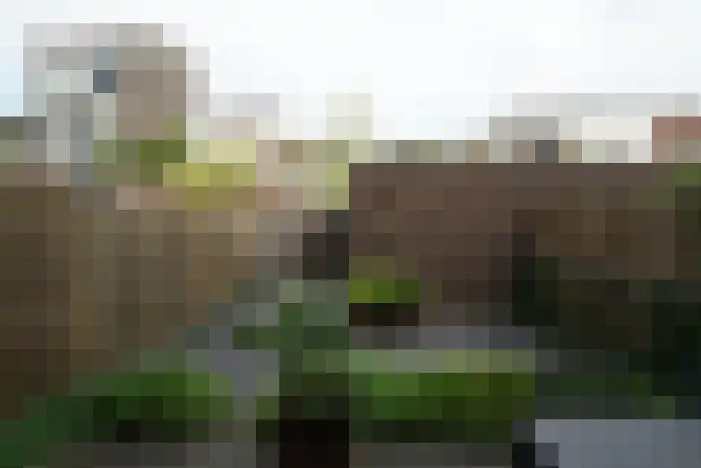 Nootdorpse Landingslaan 154 Den Haag thumbnail 5
