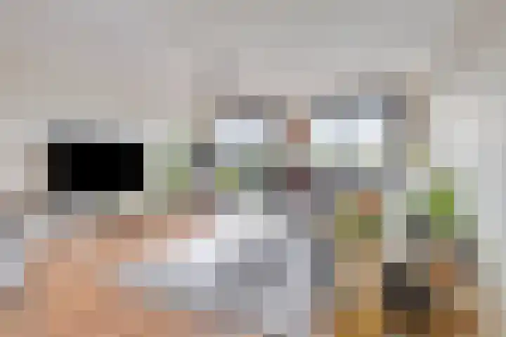 Nootdorpse Landingslaan 170 Den Haag thumbnail 10