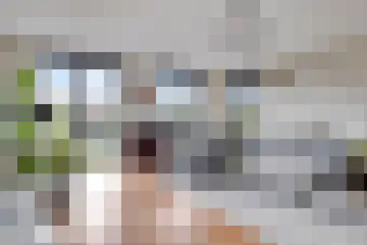 Nootdorpse Landingslaan 170 Den Haag thumbnail 12