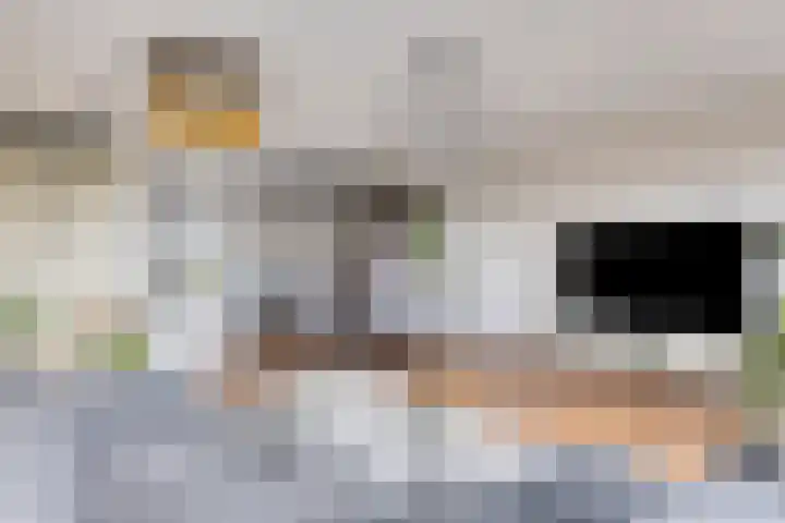 Nootdorpse Landingslaan 170 Den Haag thumbnail 14