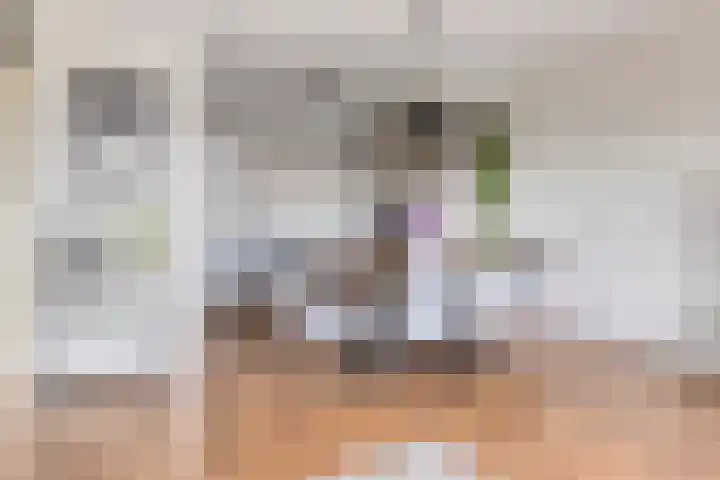 Nootdorpse Landingslaan 170 Den Haag thumbnail 16