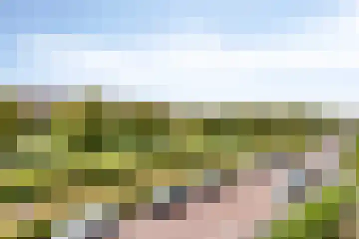 Nootdorpse Landingslaan 170 Den Haag thumbnail 33