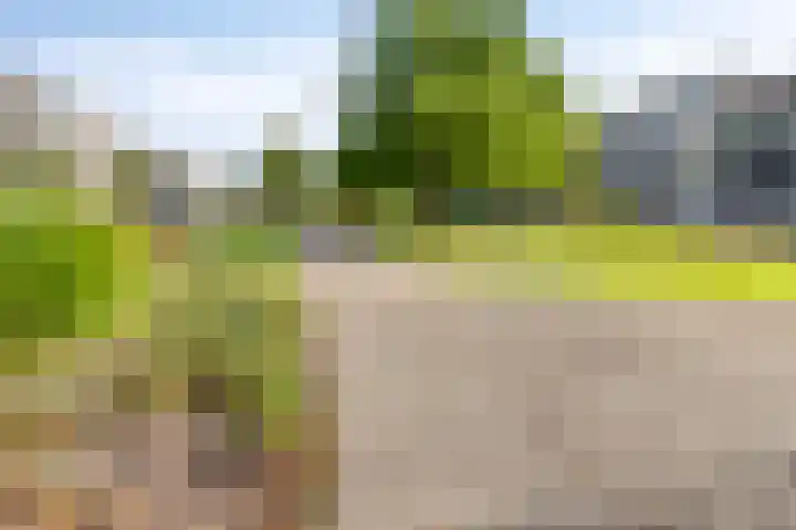 Nootdorpse Landingslaan 170 Den Haag thumbnail 34