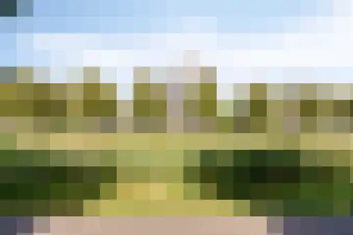 Nootdorpse Landingslaan 170 Den Haag thumbnail 4