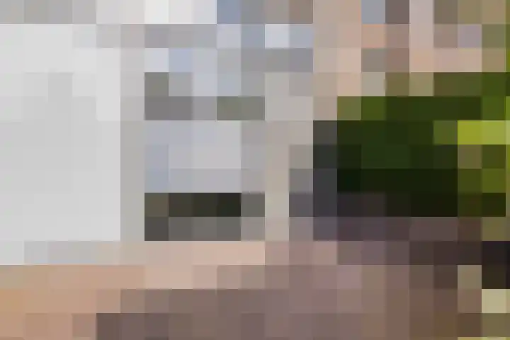 Nootdorpse Landingslaan 170 Den Haag thumbnail 5