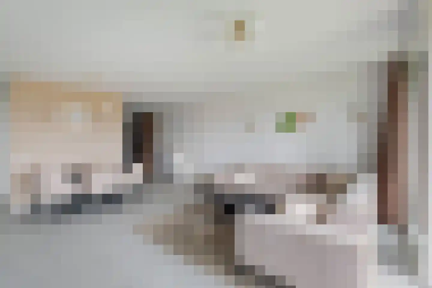 Nootdorpse Landingslaan 180 Den Haag thumbnail 13