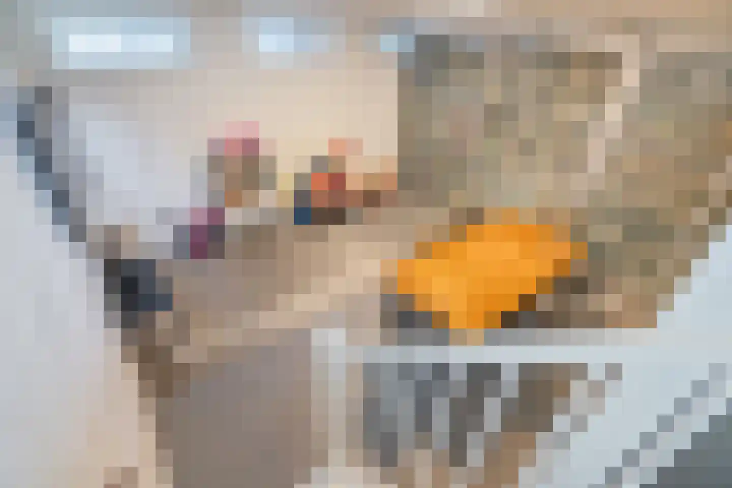 Nootdorpse Landingslaan 258 Den Haag thumbnail 14