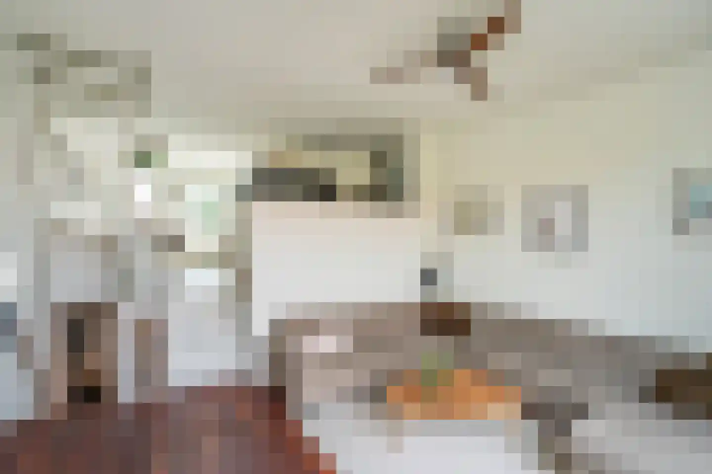Nootdorpse Landingslaan 258 Den Haag thumbnail 15