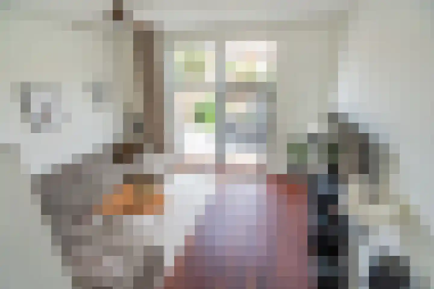 Nootdorpse Landingslaan 258 Den Haag thumbnail 16