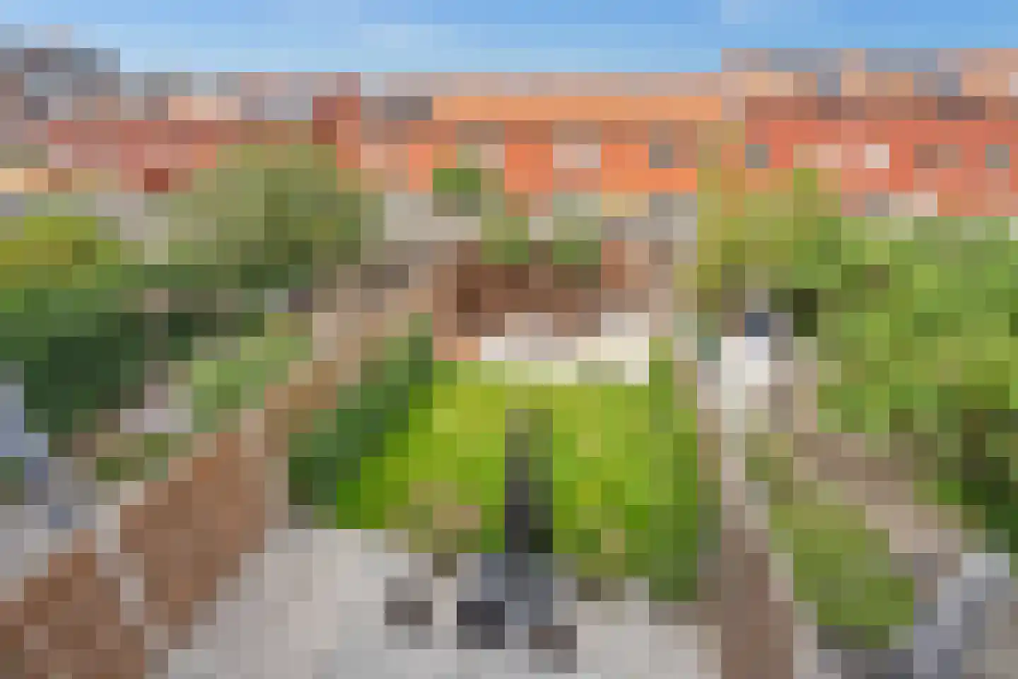 Nootdorpse Landingslaan 258 Den Haag thumbnail 24