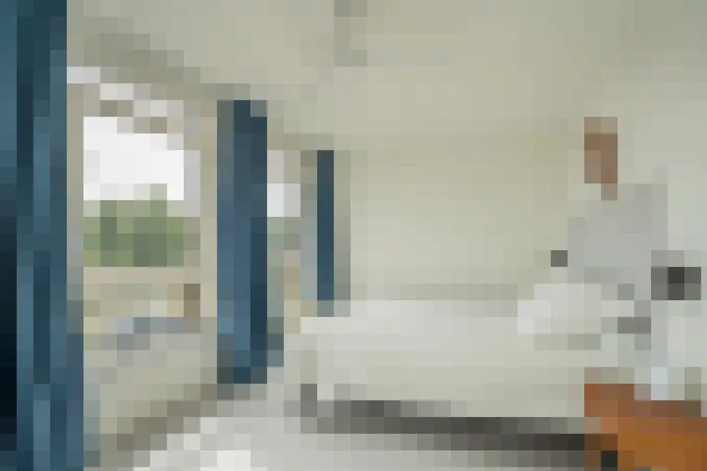 Nootdorpse Landingslaan 258 Den Haag thumbnail 26