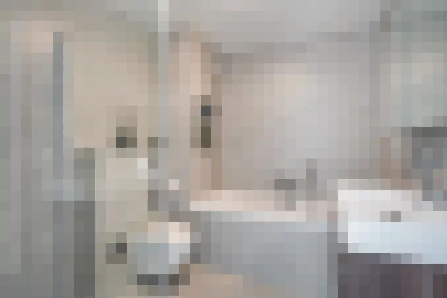 Nootdorpse Landingslaan 258 Den Haag thumbnail 27